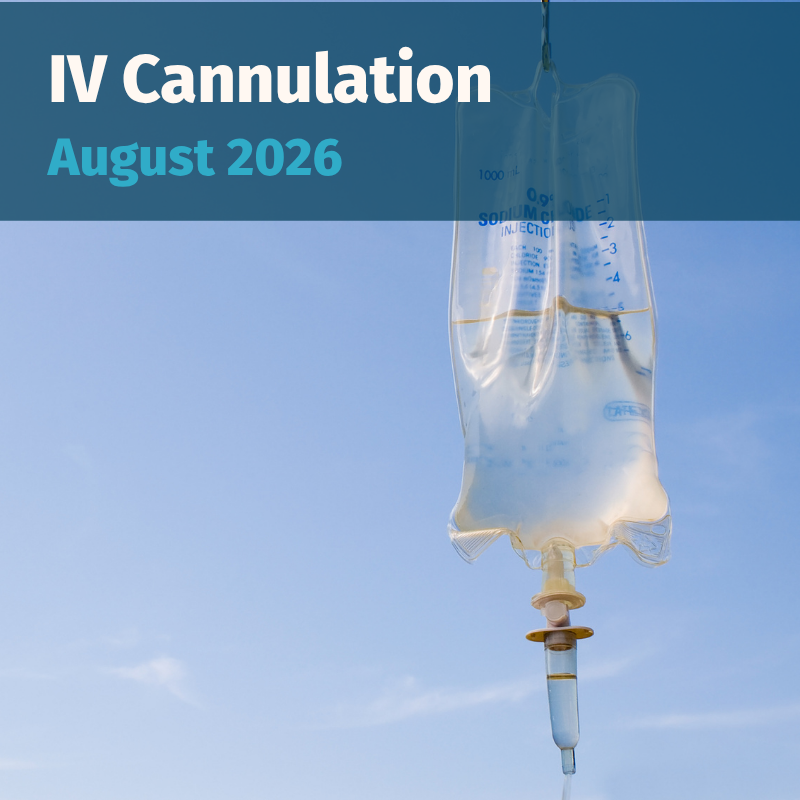 IV Cannulation August 2026 Spotlight
