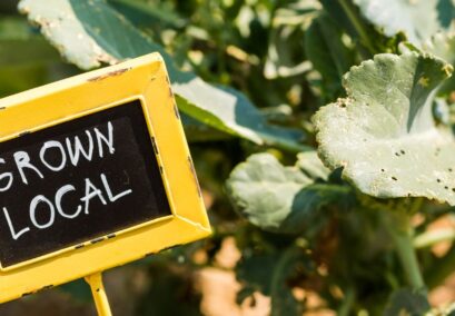 Community garden